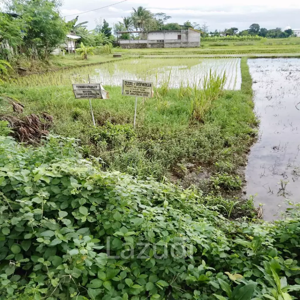 Jual Tanah di Bantul Yogyakarta Dekat RS Rachma Husada, Desa Wisata Potrobayan, Taman Opak Zoo