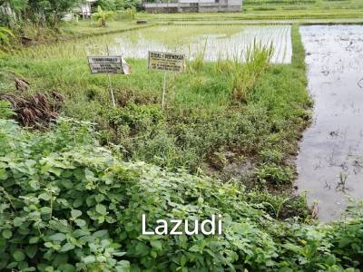Jual Tanah di Bantul Yogyakarta Dekat RS Rachma Husada, Desa Wisata Potrobayan, Taman Opak Zoo