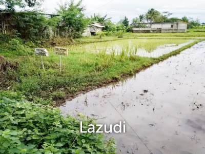 Jual Tanah di Bantul Yogyakarta Dekat RS Rachma Husada, Desa Wisata Potrobayan, Taman Opak Zoo