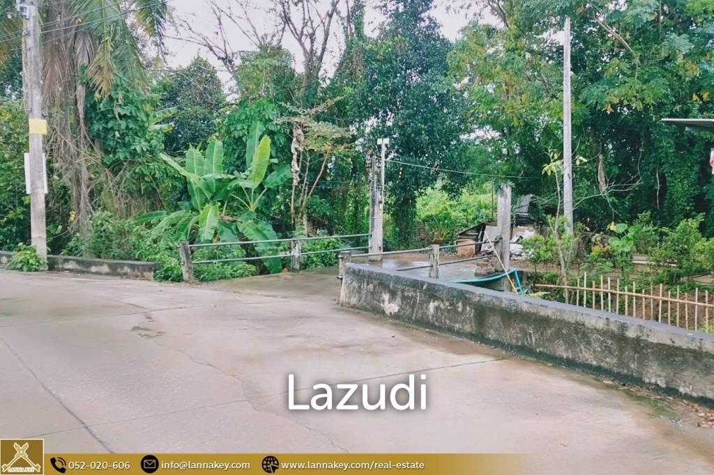 Land for sale in Pa Daet, Chiang Mai.