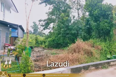 Land for sale in Pa Daet, Chiang Mai.
