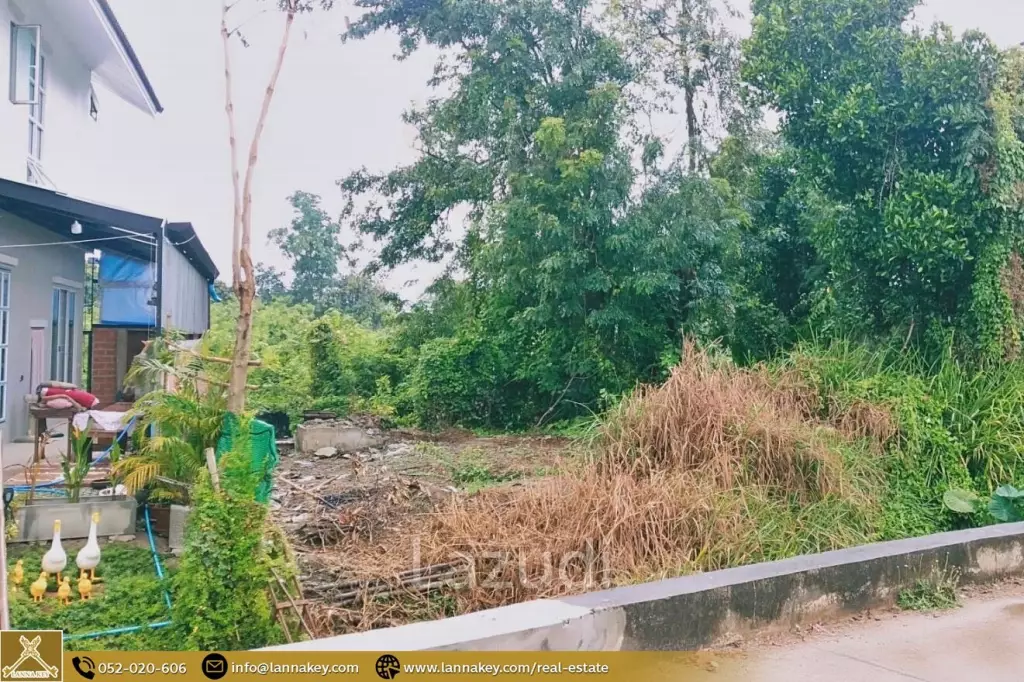 Land for sale in Pa Daet, Chiang Mai.