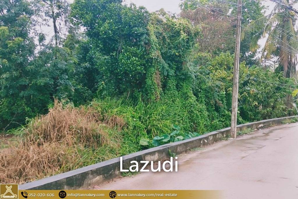 Land for sale in Pa Daet, Chiang Mai.