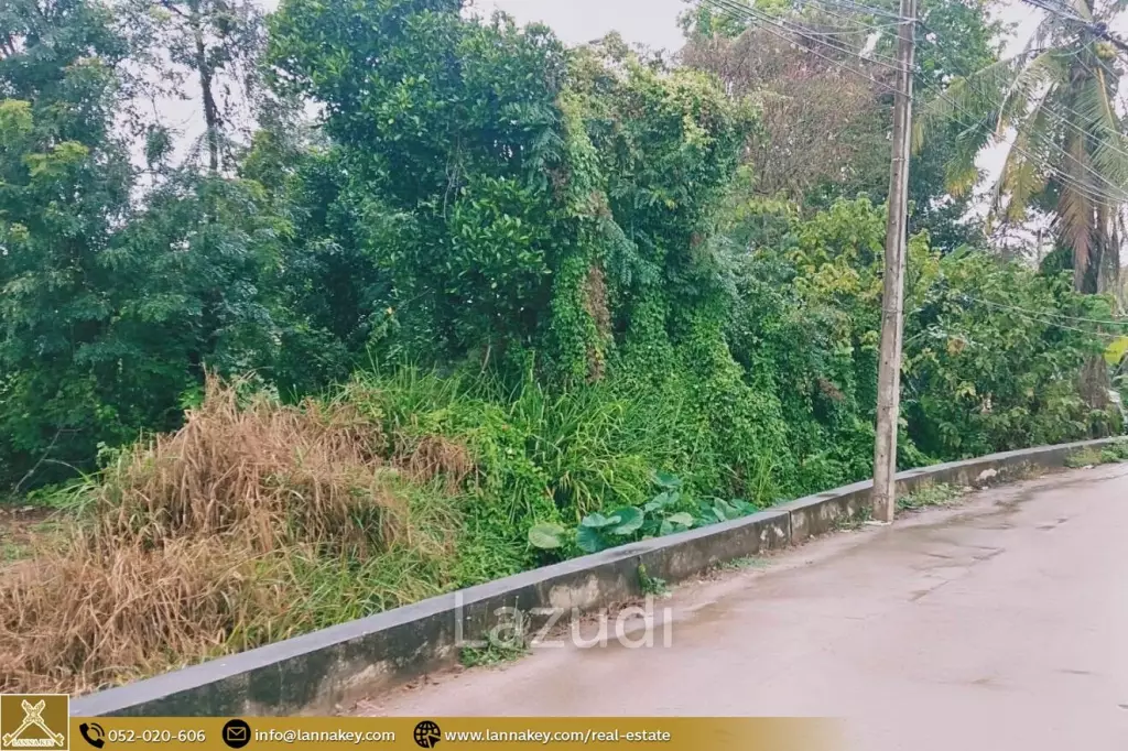 Land for sale in Pa Daet, Chiang Mai.