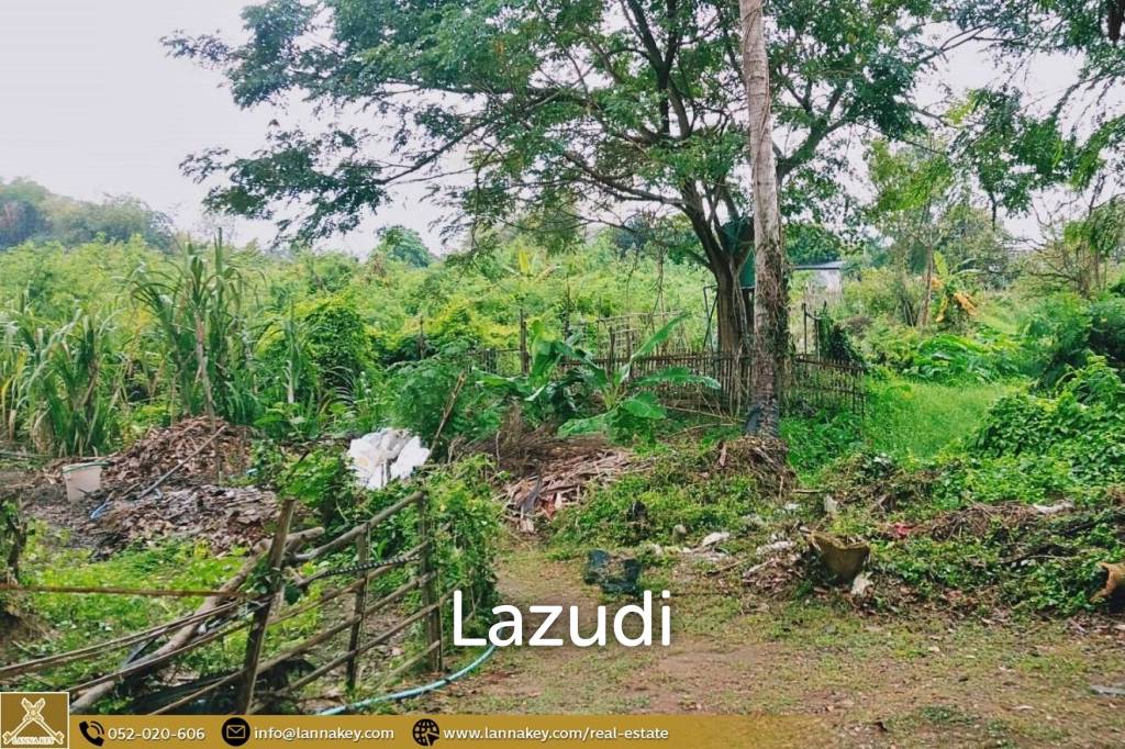 Land for sale in Pa Daet, Chiang Mai.