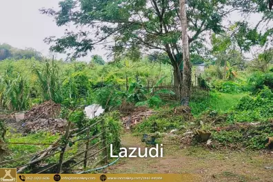 Land for sale in Pa Daet, Chiang Mai.