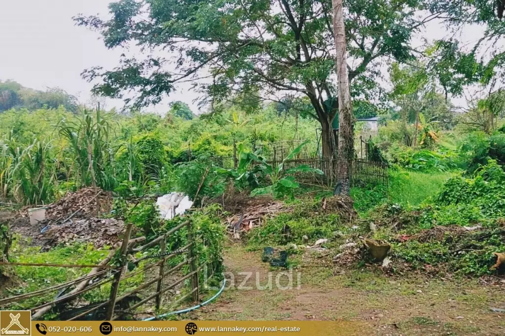 Land for sale in Pa Daet, Chiang Mai.