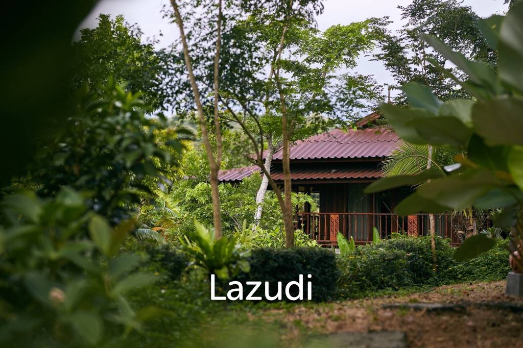 Succesful boutique home-stay for business or luxury residence near Black House