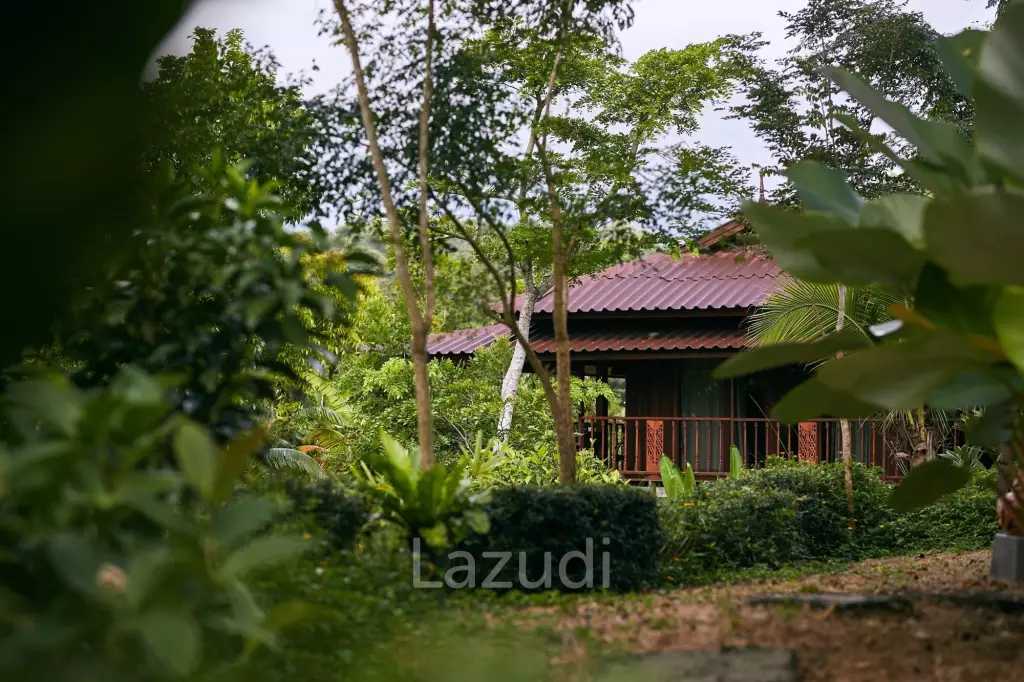 Succesful boutique home-stay for business or luxury residence near Black House
