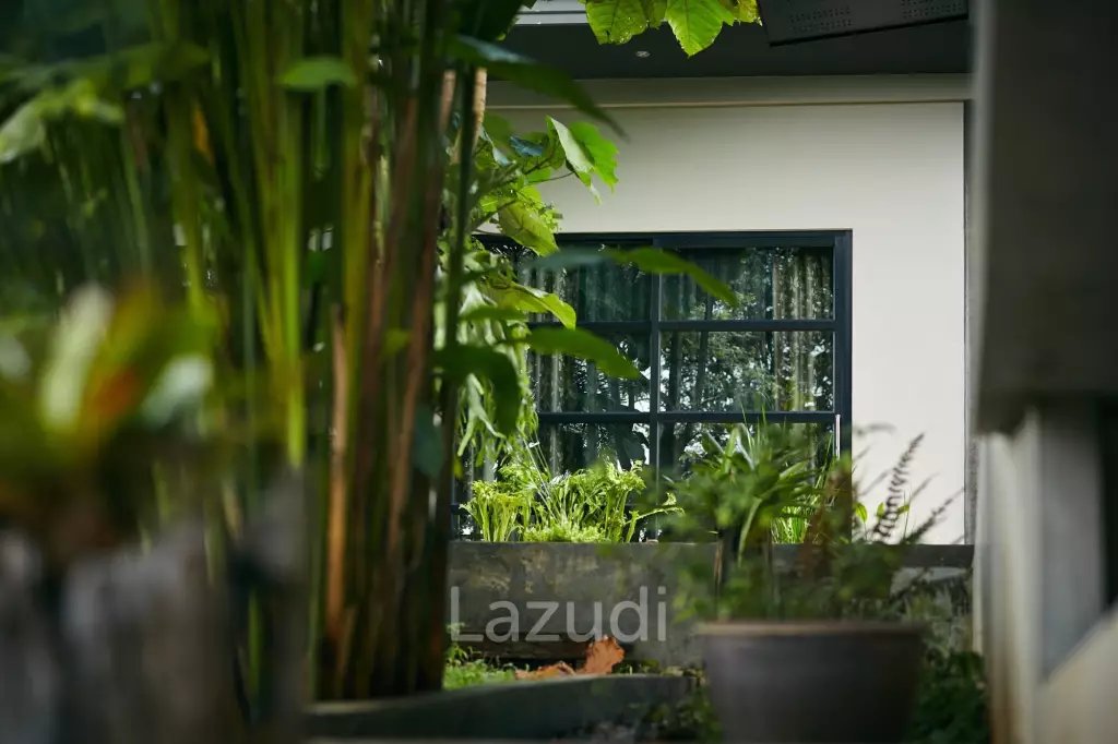 Succesful boutique home-stay for business or luxury residence near Black House