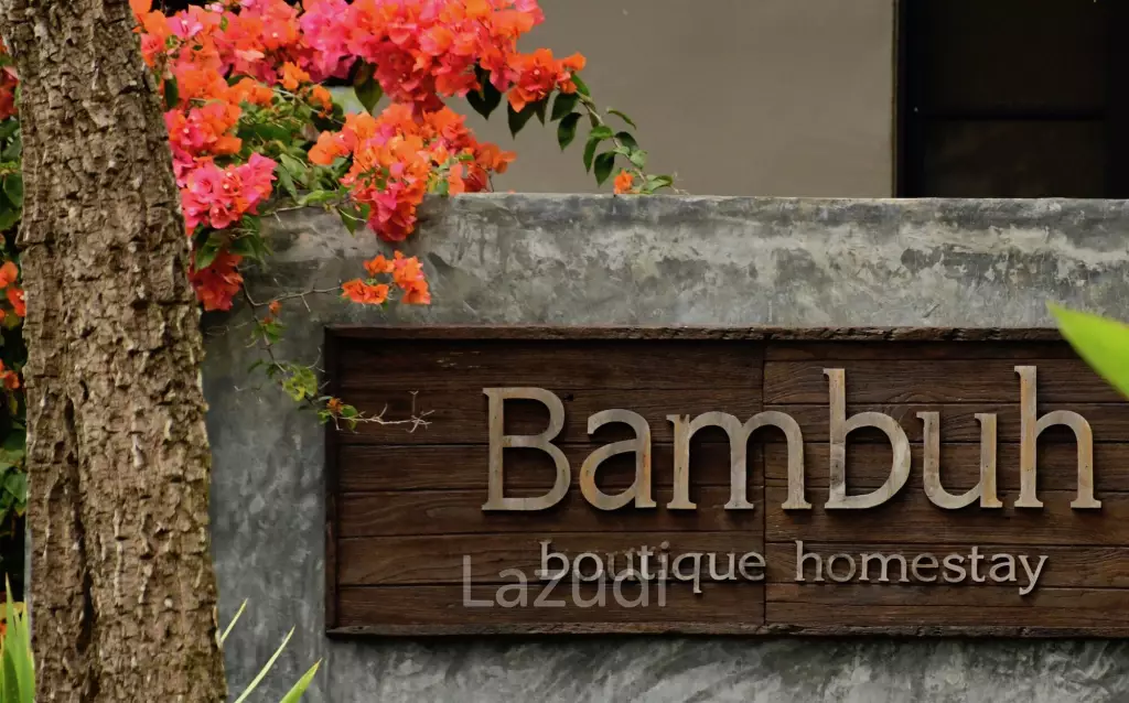 Succesful boutique home-stay for business or luxury residence near Black House