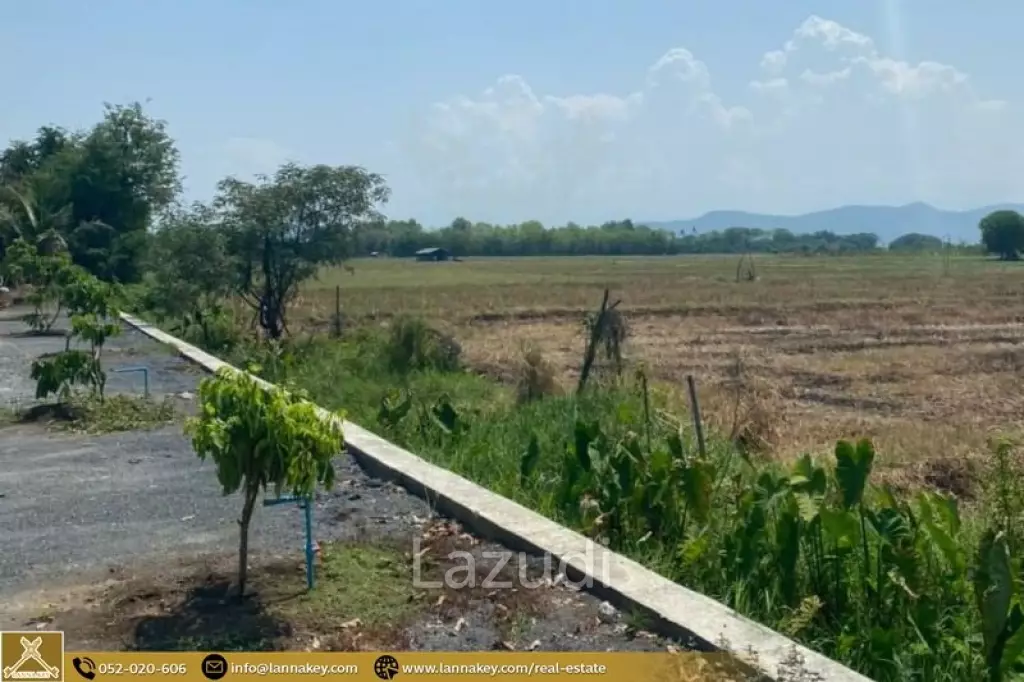 Selling a large plot of land next to the village.
