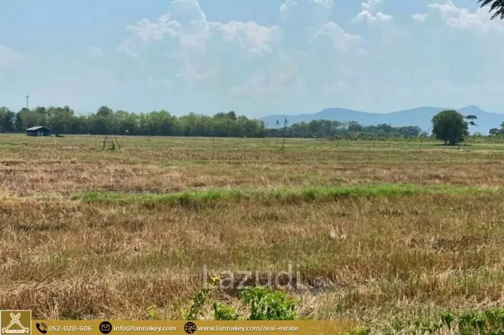 Selling a large plot of land next to the village.
