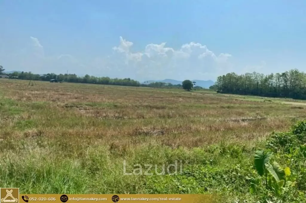 Selling a large plot of land next to the village.