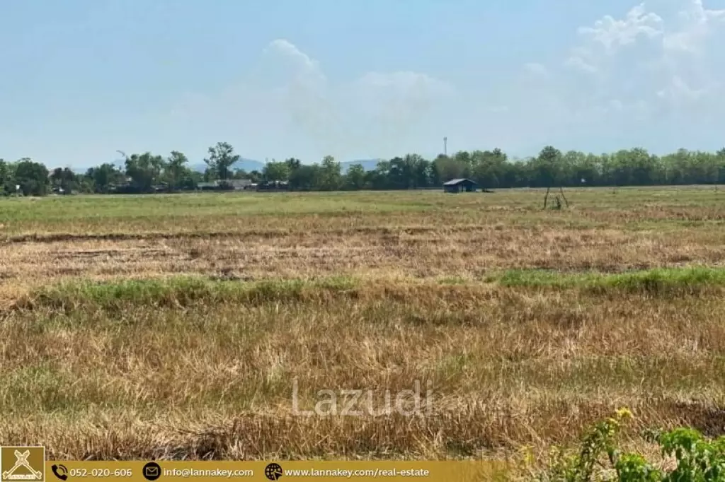 Selling a large plot of land next to the village.