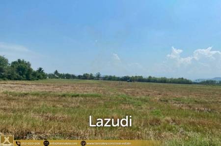 Selling a large plot of land next to the village.