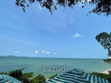 Land for sale 1 rai