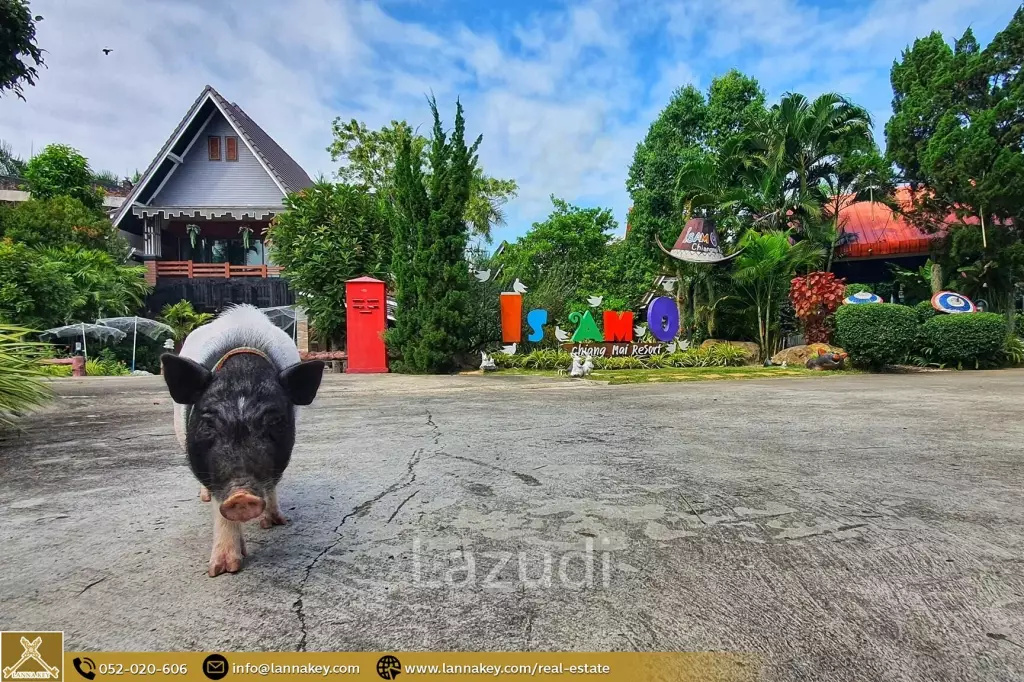 Resort for sale in San Sai, Chiang Mai.