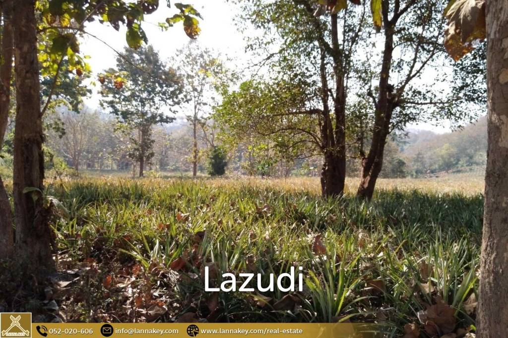 Beautiful Location Land Close to the Kok River.