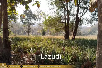 Beautiful Location Land Close to the Kok River.