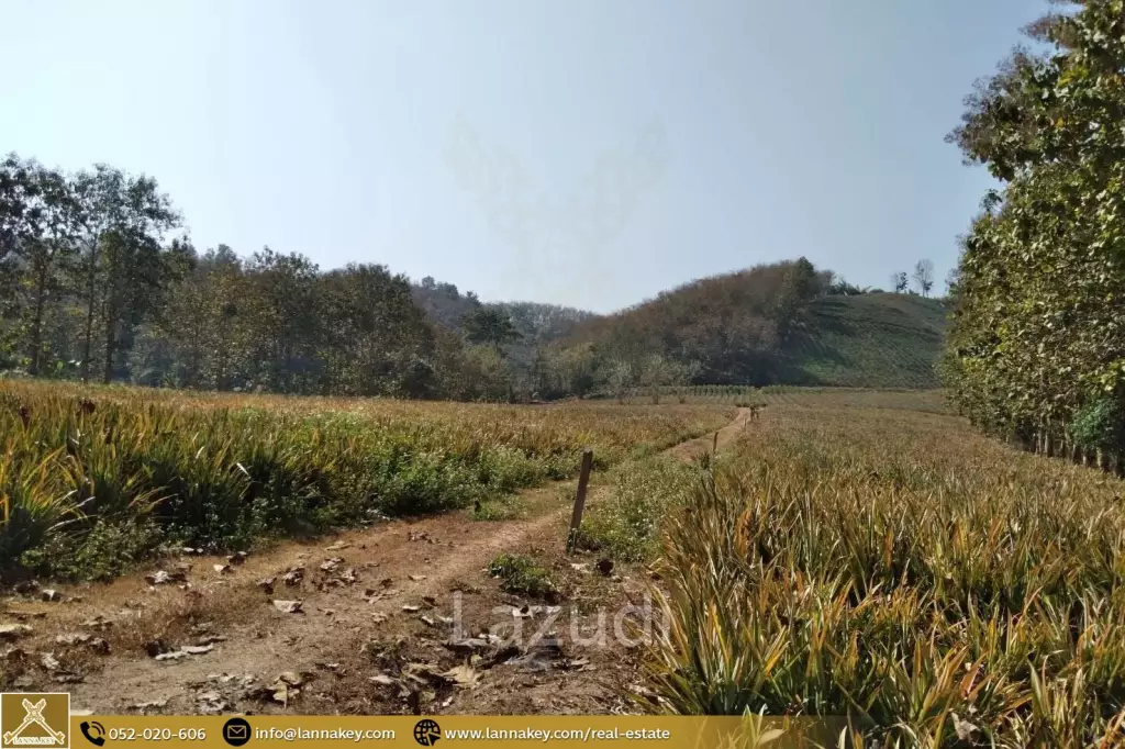 Beautiful Location Land Close to the Kok River.