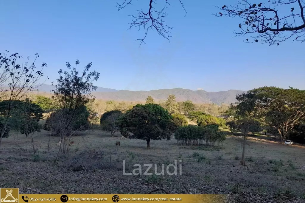 Land for sale next to the Cave at Mae On, Chiang Mai.