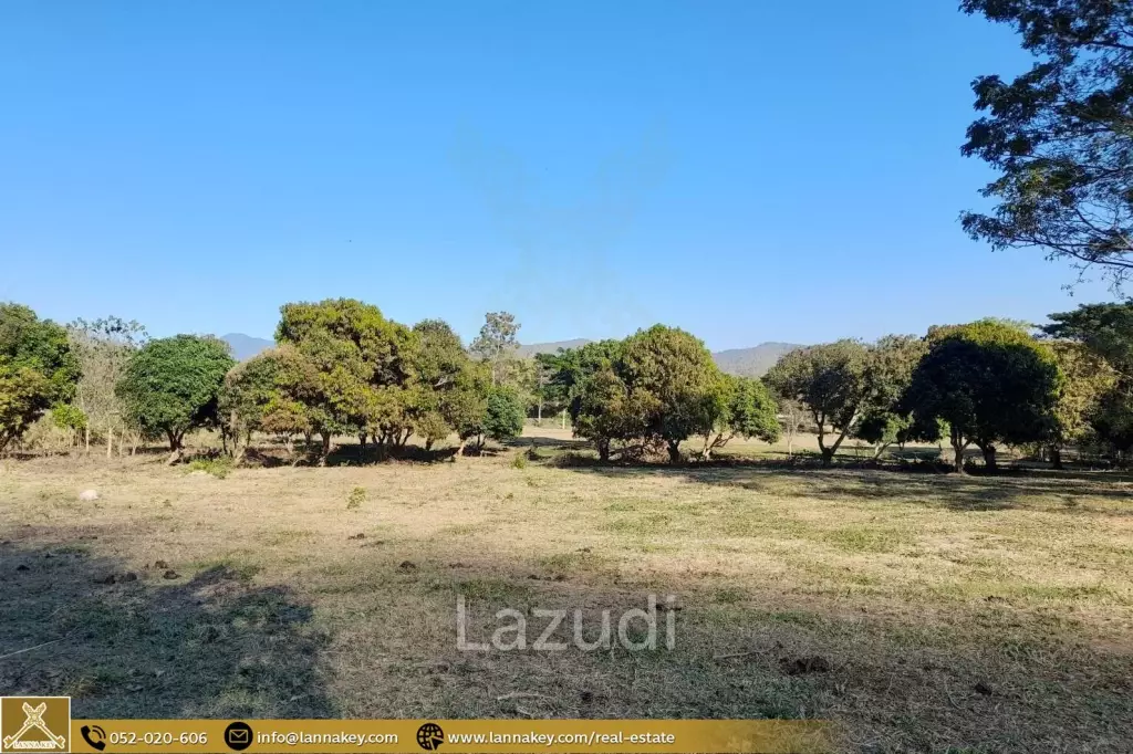 Land for sale next to the Cave at Mae On, Chiang Mai.