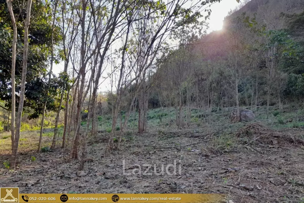 Land for sale next to the Cave at Mae On, Chiang Mai.