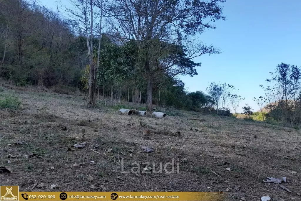 Land for sale next to the Cave at Mae On, Chiang Mai.