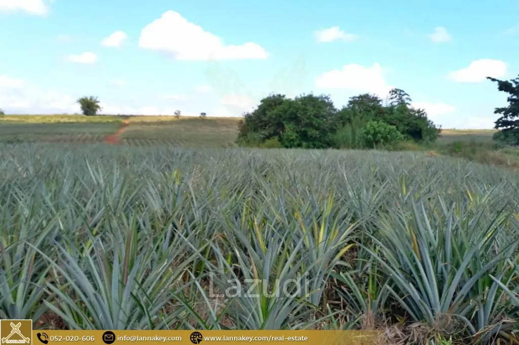 Large Land for Sale With Mountain Views.
