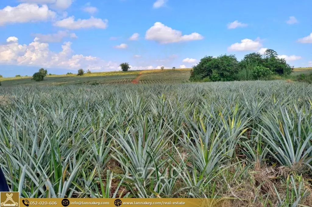 Large Land for Sale With Mountain Views.