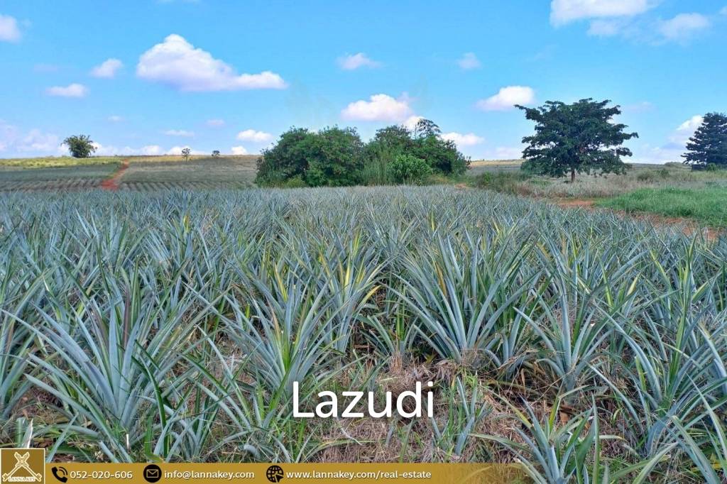 Large Land for Sale With Mountain Views.