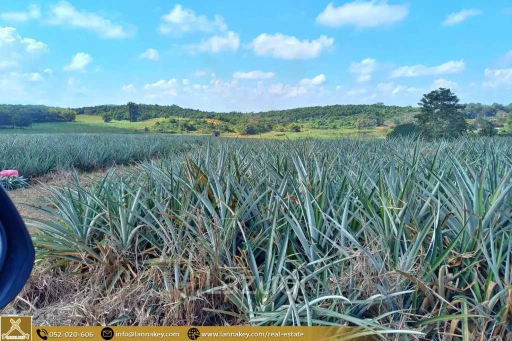 Large Land for Sale With Mountain Views.