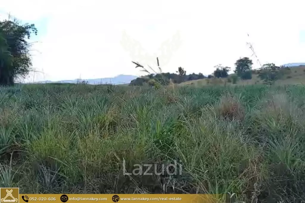 Large Land for Sale With Mountain Views.