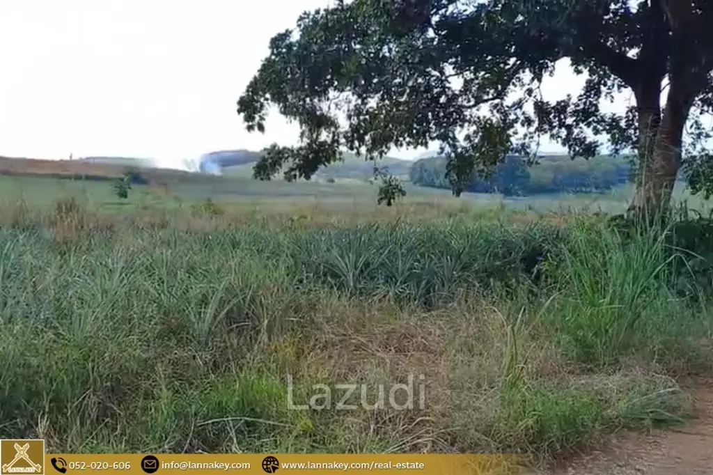 Large Land for Sale With Mountain Views.