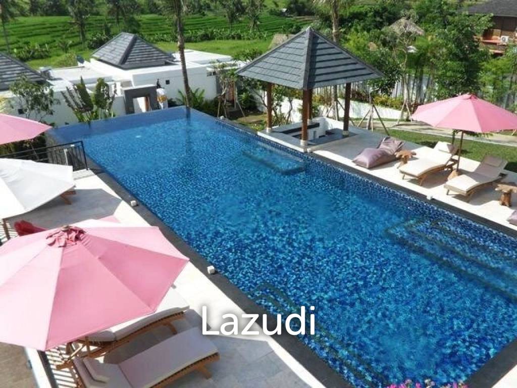 Great Freehold Investment complex in Canggu