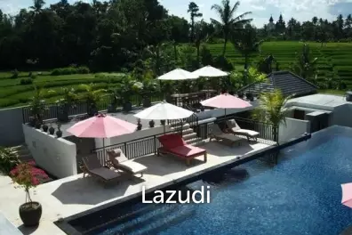 Great Freehold Investment complex in Canggu