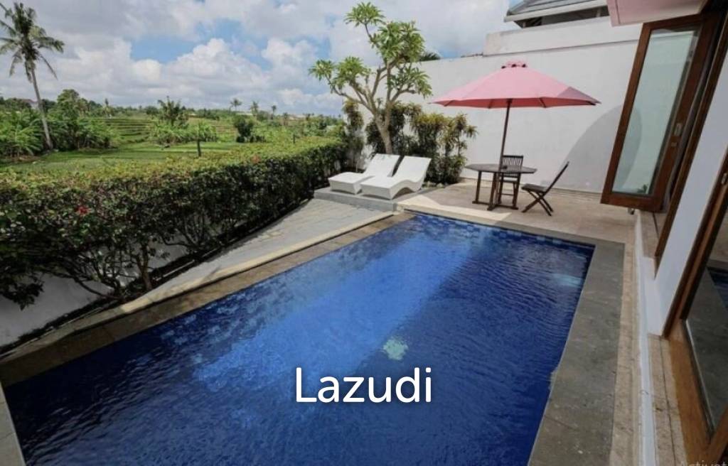 Great Freehold Investment complex in Canggu