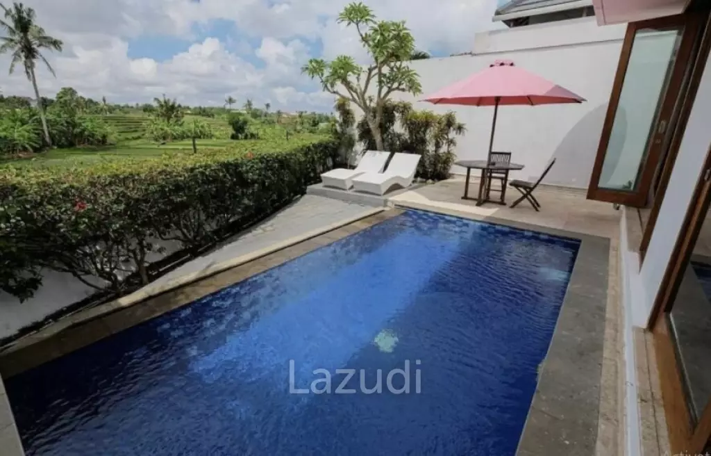 Great Freehold Investment complex in Canggu