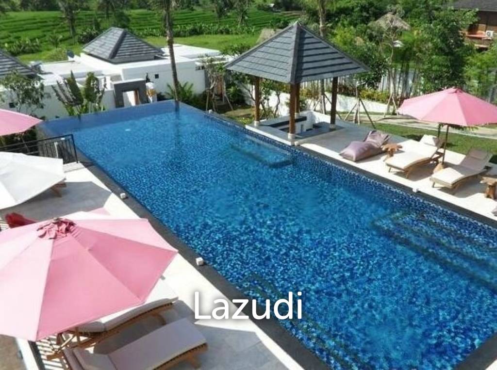 Great Freehold Investment complex in Canggu