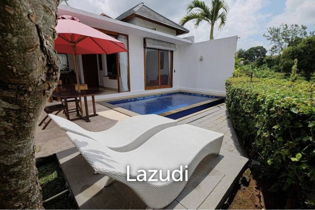 Great Freehold Investment complex in Canggu