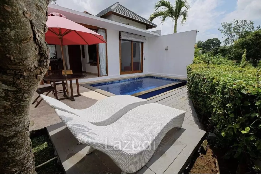 Great Freehold Investment complex in Canggu