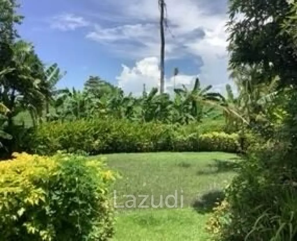 Incredible Leasehold Villa in Berawa Canggu