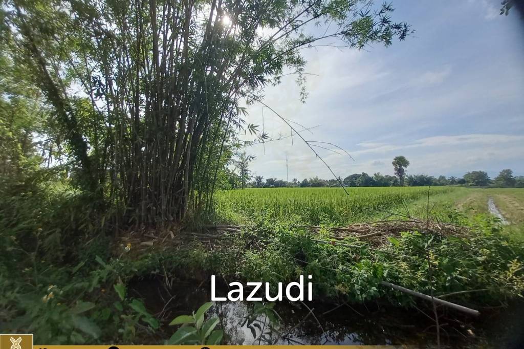 Rice Fields Land 5 rai for Sale