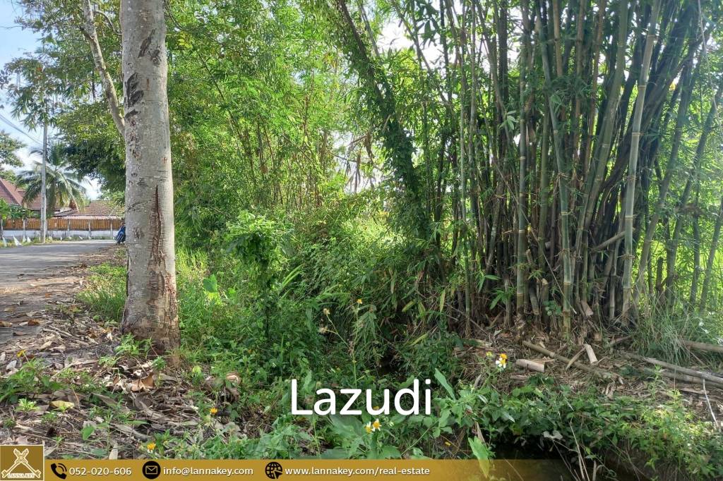 Rice Fields Land 5 rai for Sale