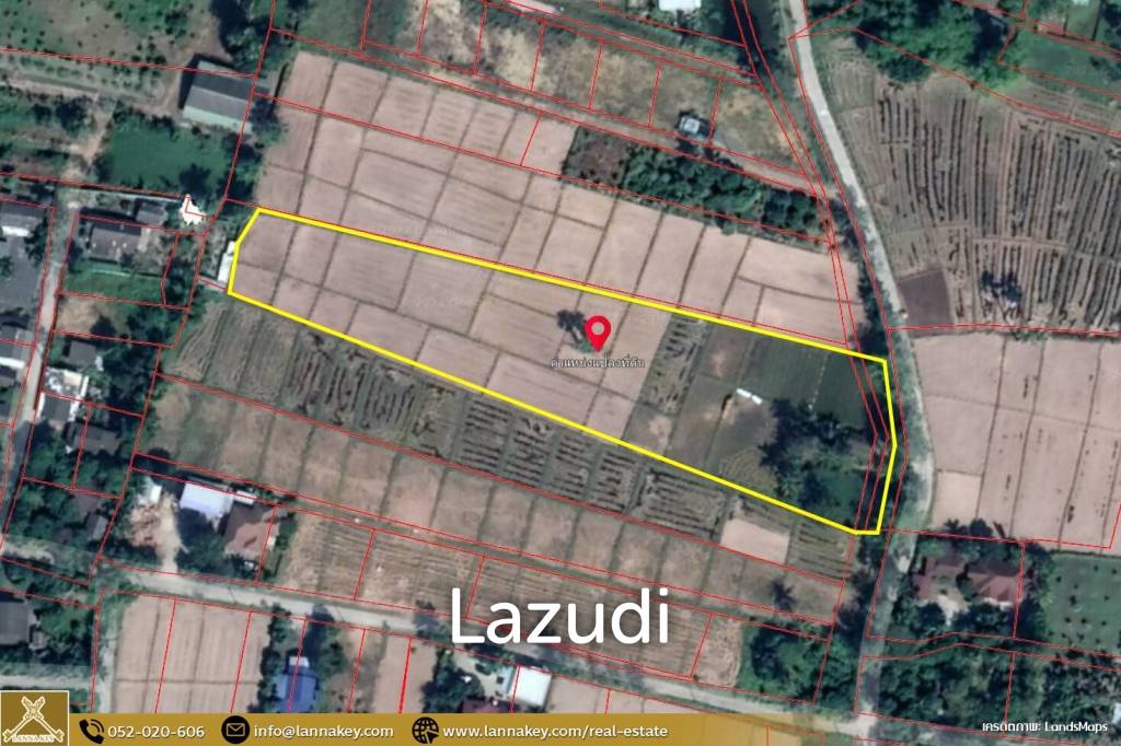 Rice Fields Land 5 rai for Sale