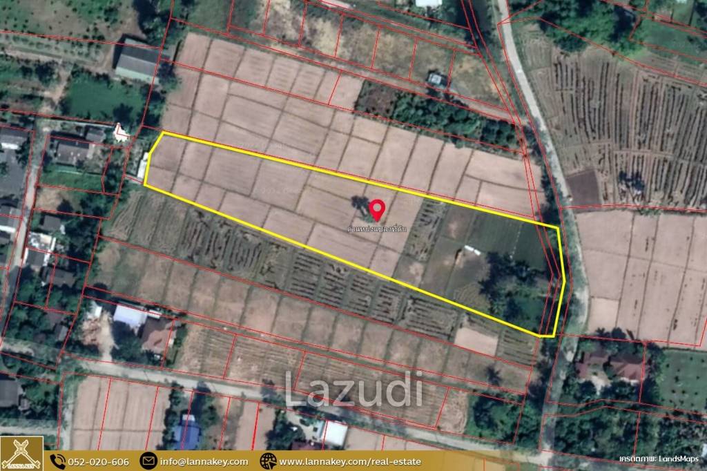 Rice Fields Land 5 rai for Sale