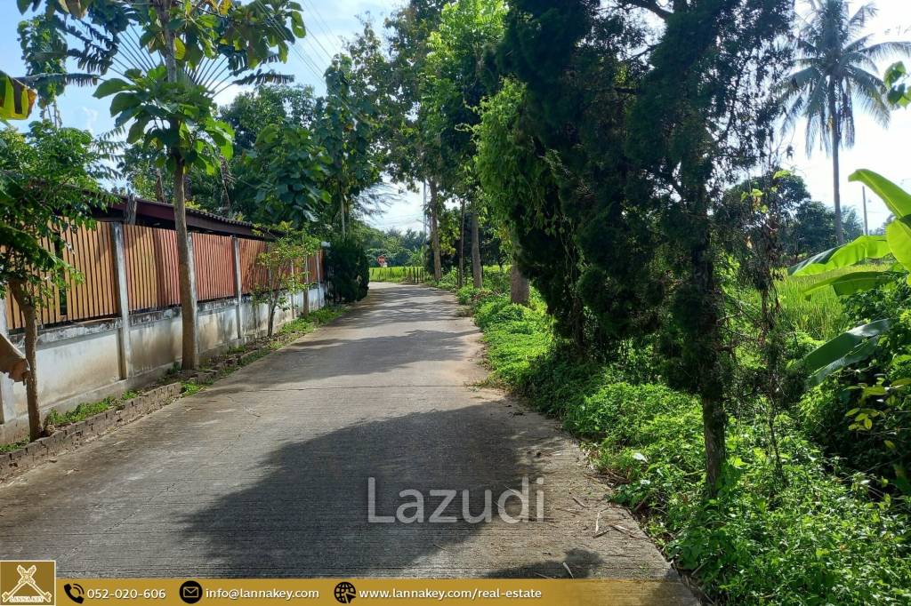 Rice Fields Land 5 rai for Sale