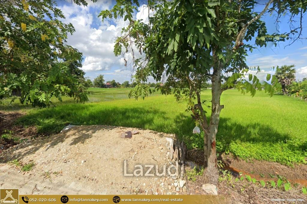 Rice Fields Land 5 rai for Sale