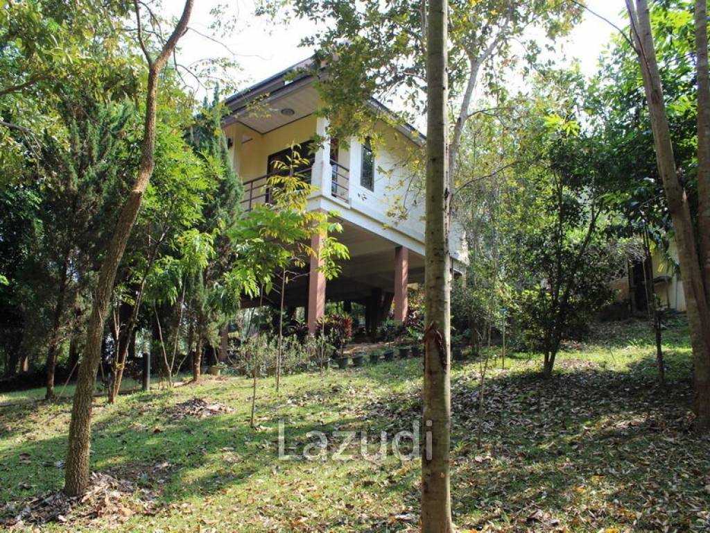 Cottage near White Temple for Rent